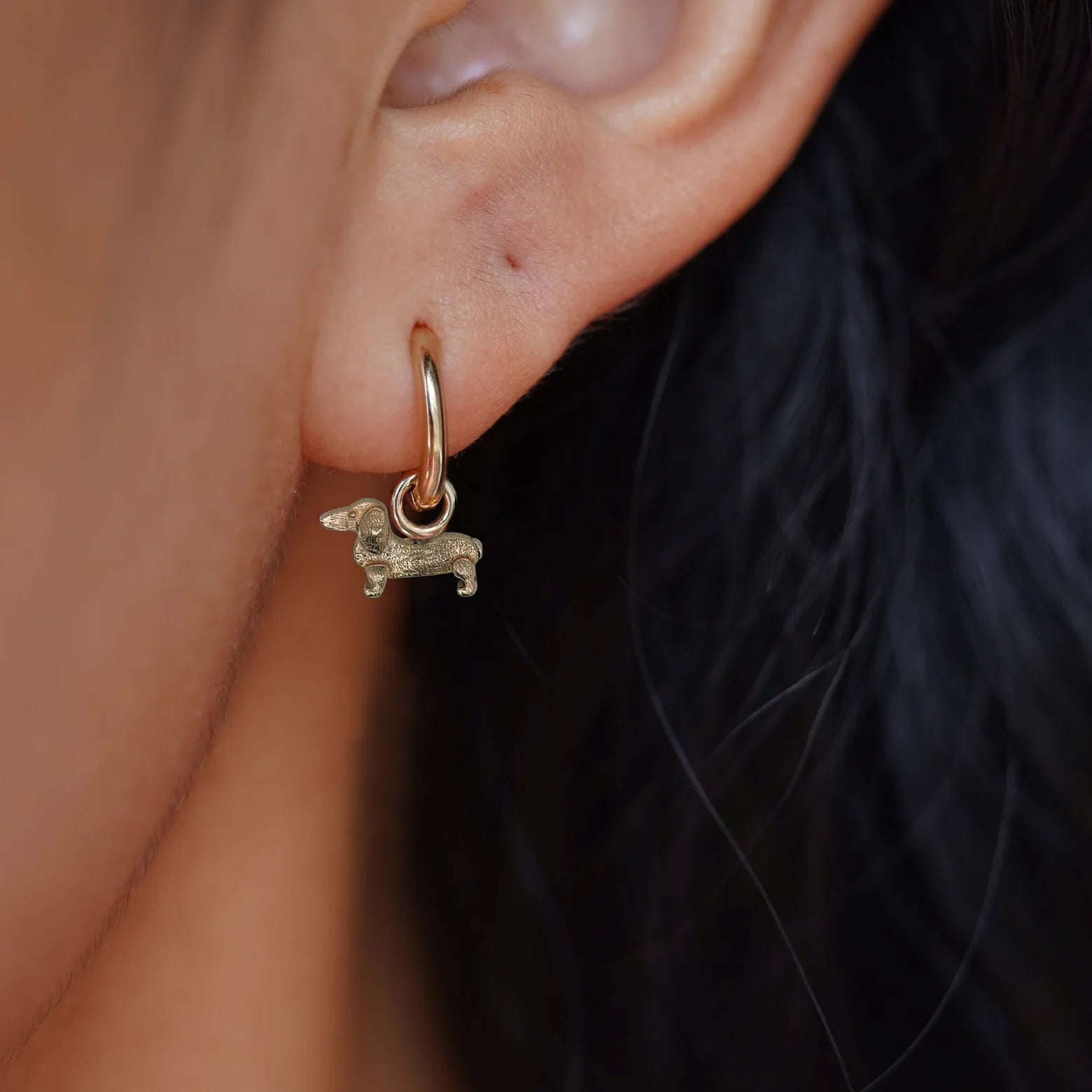 Close up view of a model's ear wearing a champagne gold dog Charm on a Curvy Huggie