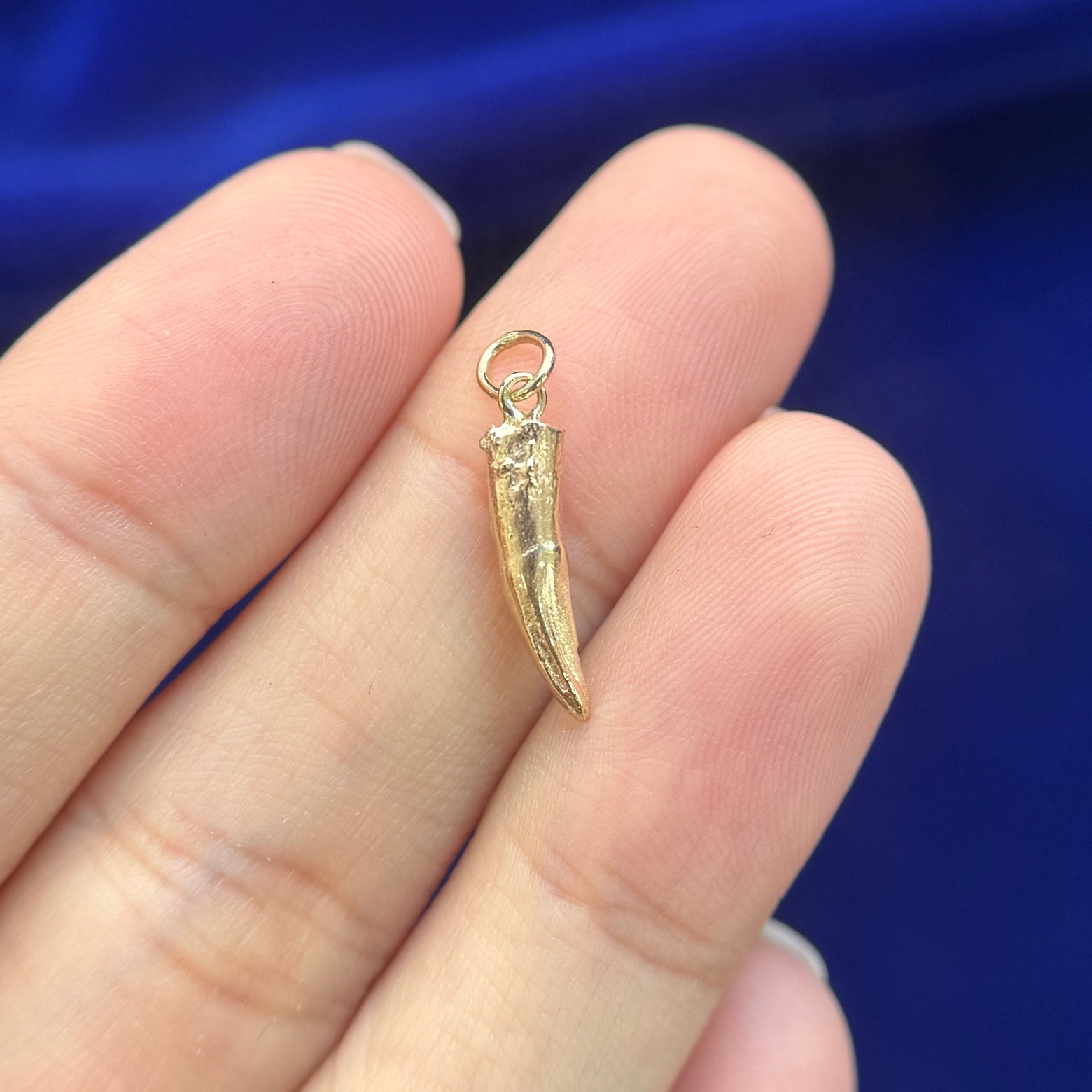 14k Yellow Gold Copy of Cats Tooth 12mm Custom Charm with Dangling Bail