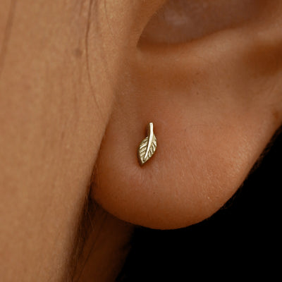 Close up view of a model's ear wearing a 14k champagne gold Mini Leaf Earring