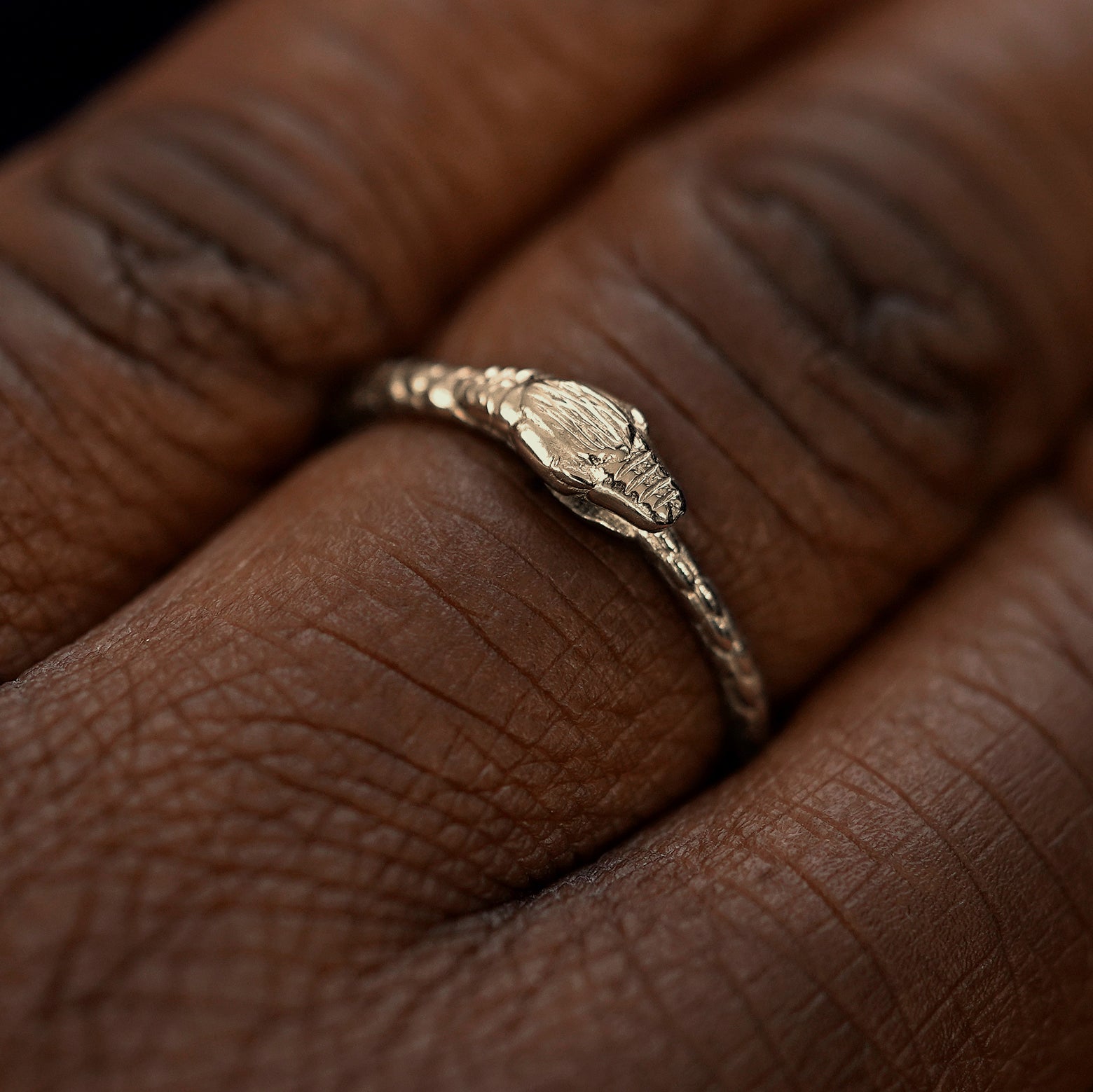 Close up view of a model's hand wearing a champagne gold Ouroboros Snake Ring