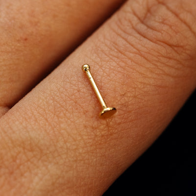 Close up view of a single 14k solid gold Circle Nose Stud with a ball end backing resting on the back on a model's hand