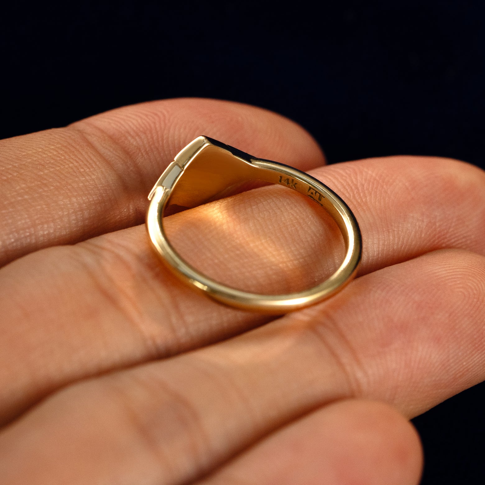 A Hexagon Salt and Pepper and Triangle Black Diamond Three Stone Ring in a model's hand showing the underside of the stones