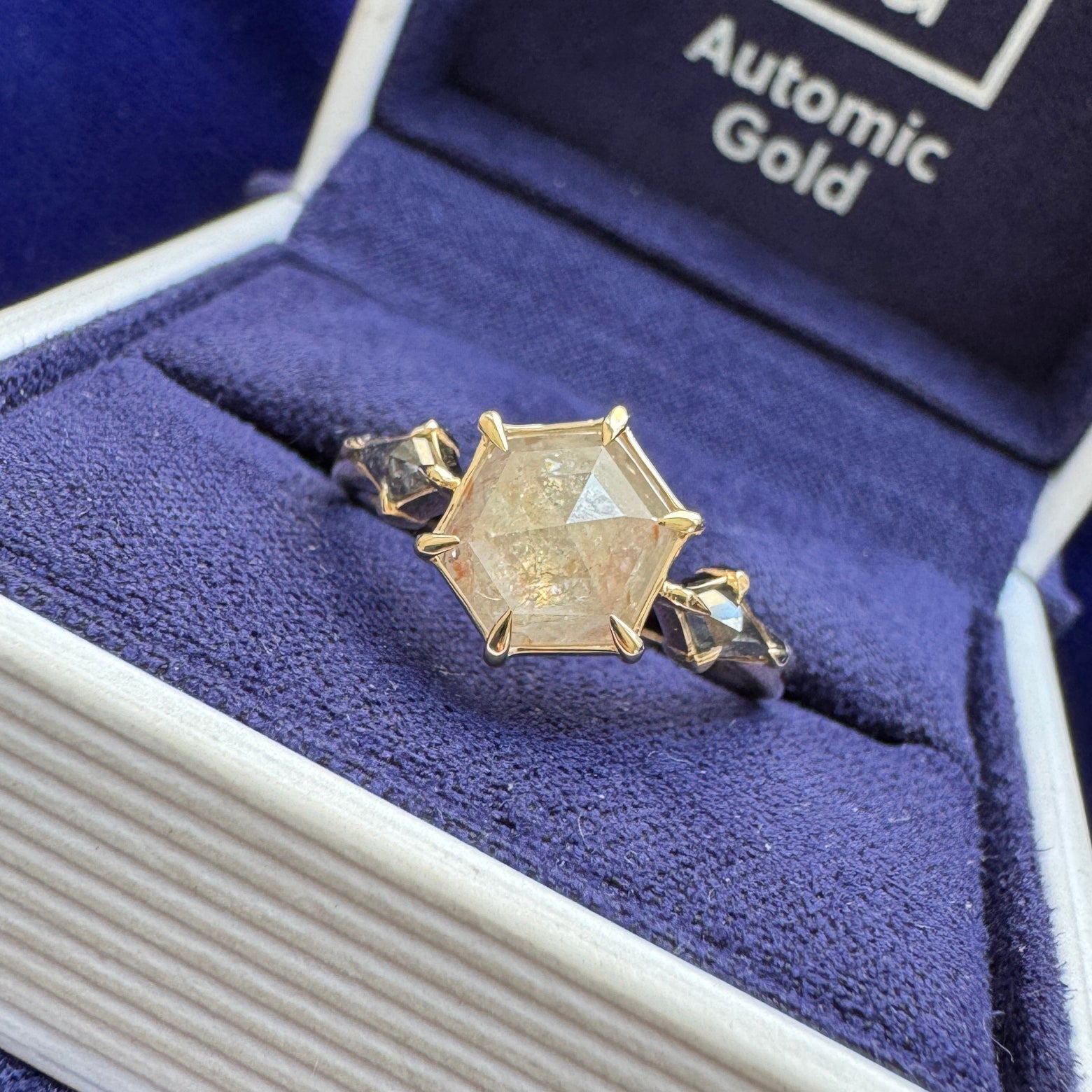 14k Yellow Gold Claw-prongs-set 1.65ct Hexagon White Salt-and-pepper Diamond with 2pc Dark Kite Diamonds on 2mm Mix Mirror Band Custom Ring