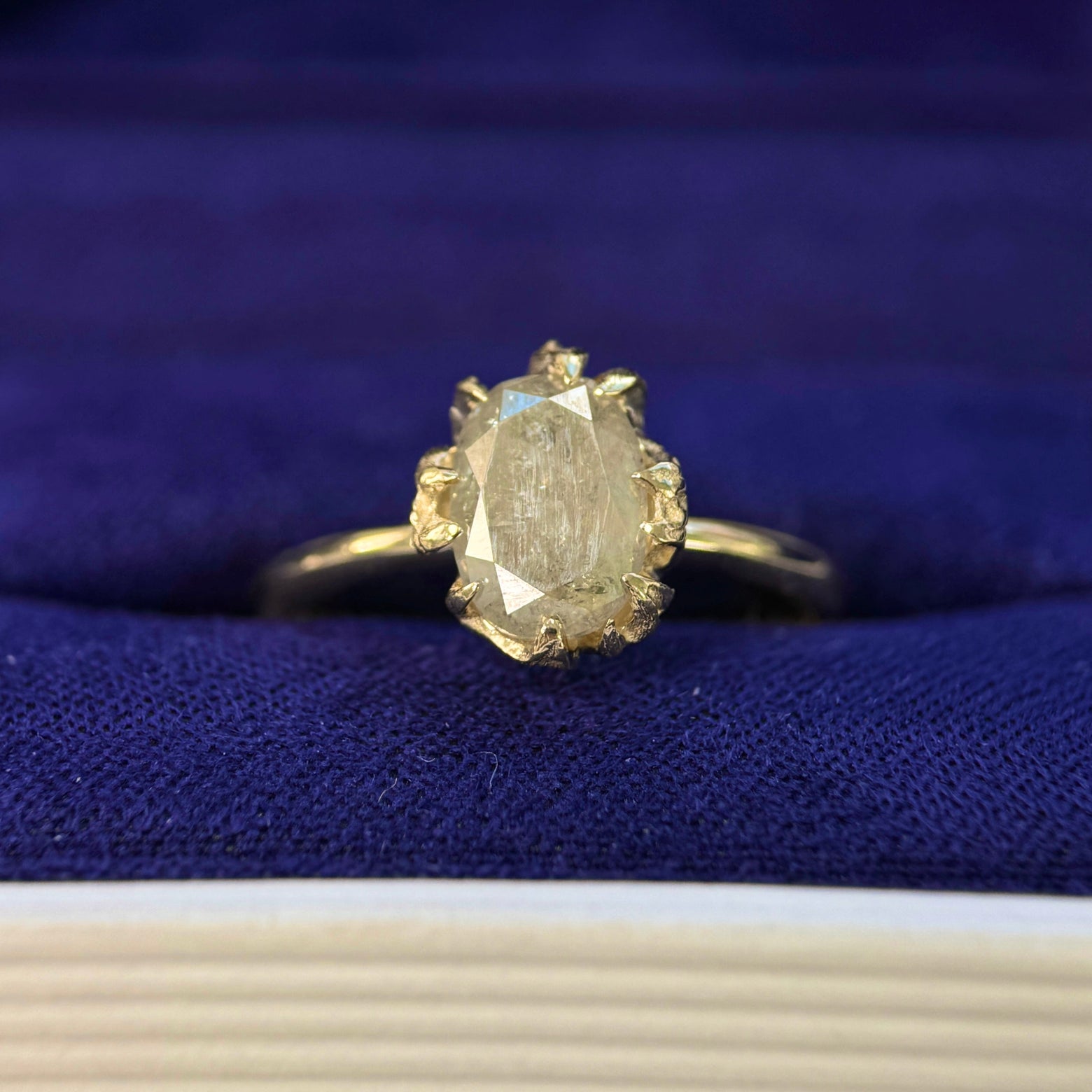 14k Yellow Gold & 1.89ct Oval Salt-and-pepper Diamond in Begonia Leaf Setting Tapered Band Custom Ring