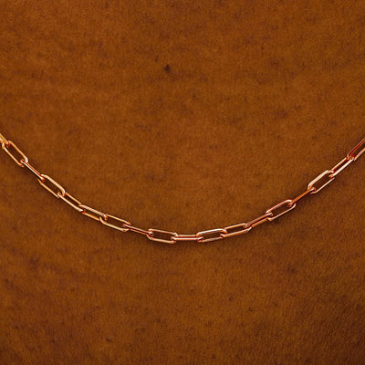 Close up view of a model in a white shirt wearing a solid rose gold Butch Chain