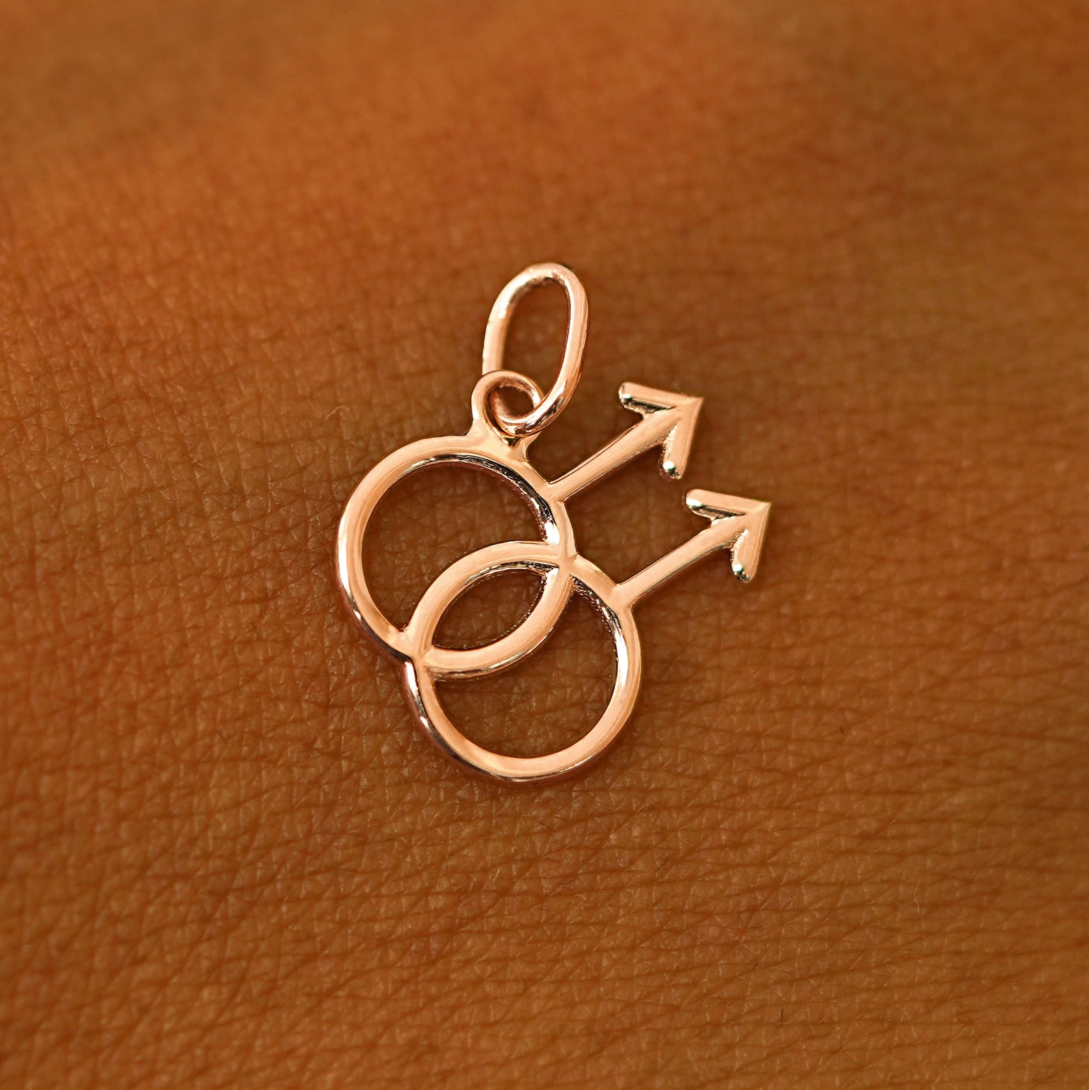Gay Symbol Charm