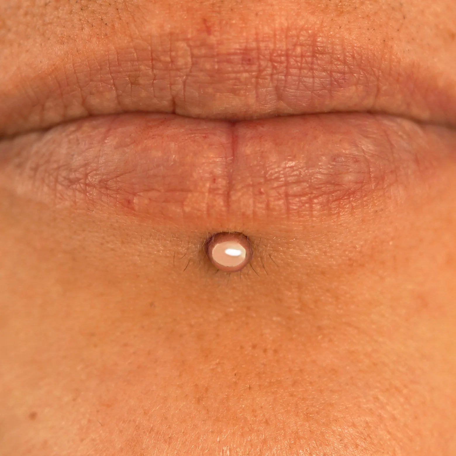 Close up view of a model's lips wearing a 14k rose gold Large Labret Piercing