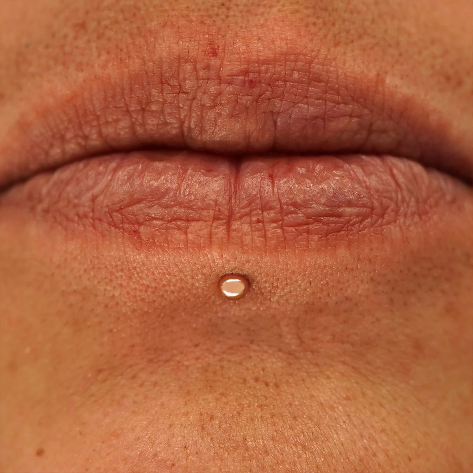 Close up view of a model's mouth wearing a 14k rose gold Small Ball Flatback as a labret piercing