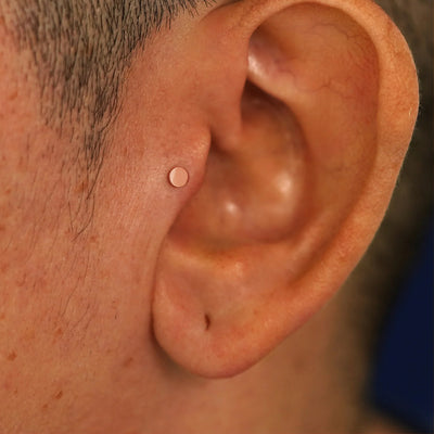 A model's ear wearing a 14k rose gold Small Circle Flatback in a tragus piercing