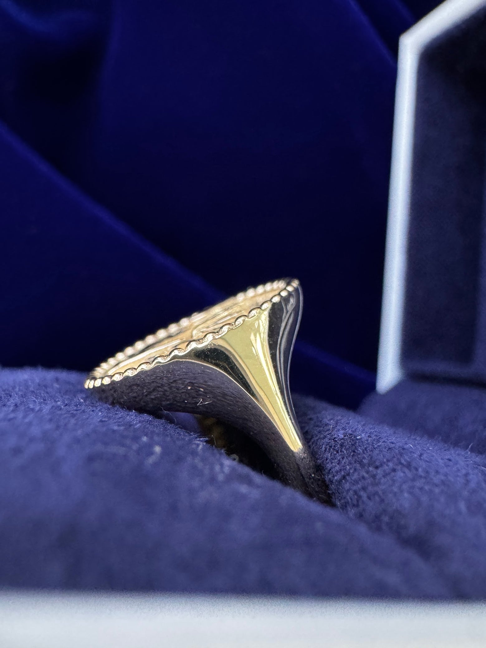 14k Yellow Gold 14mm Wide Round Lowered Signet with Embossed Birds of Paradise Custom Ring