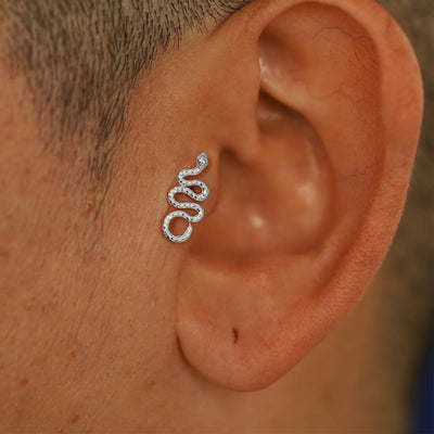 Close up view of a model's ear wearing a white gold Snake Flatback in a tragus piercing