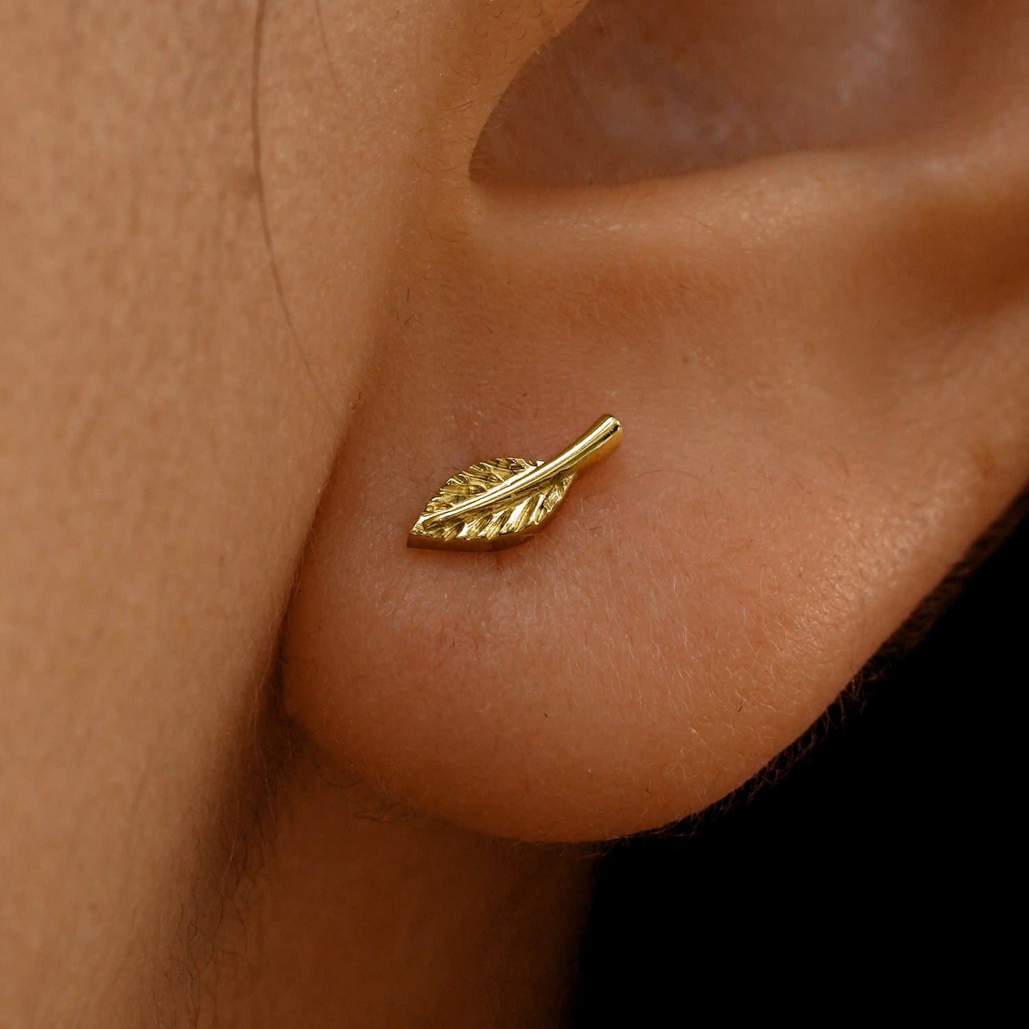 Gold Leaf Earrings Leaf Earrings – Jennifer Miller Jewelry main image 3