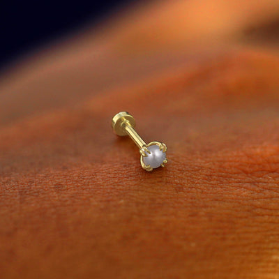 A solid 14k yellow gold Pearl Flatback Piercing resting on the back of a model's hand