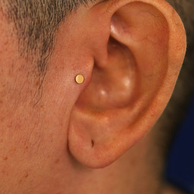 A model's ear wearing a 14k yellow gold Small Circle Flatback in a tragus piercing