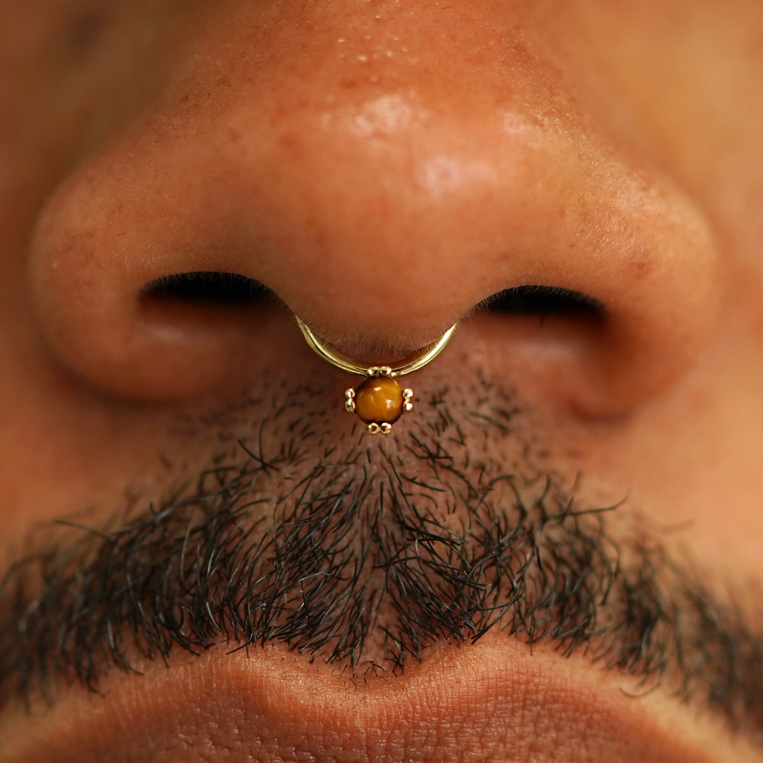 septum piercing with nose stud